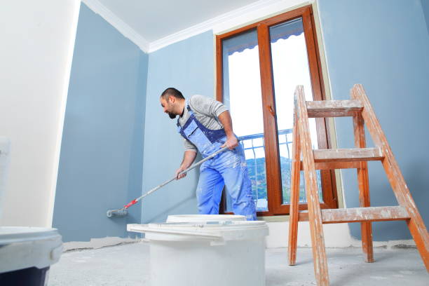 Best Mold Odor Removal Services  in Port Byron, NY
