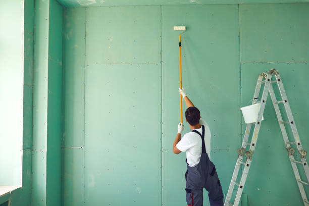 Best Attic Mold Removal  in Port Byron, NY