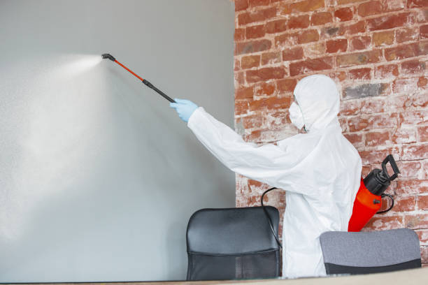 Best Water Damage & Mold Remediation  in Port Byron, NY