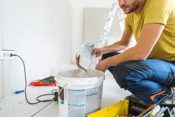 Best Crawl Space Mold Remediation  in Port Byron, NY