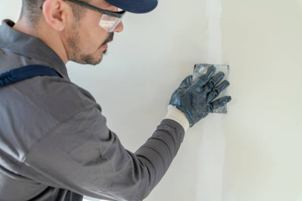 Best Mold Prevention Services  in Port Byron, NY