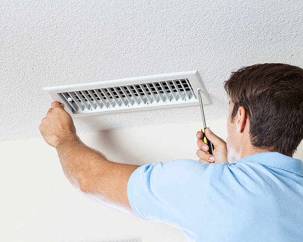 Best Emergency Mold Remediation  in Port Byron, NY