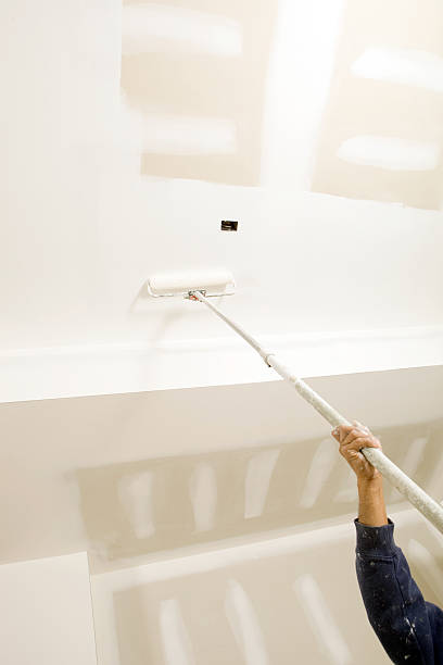 Best Real Estate Mold Inspection  in Port Byron, NY